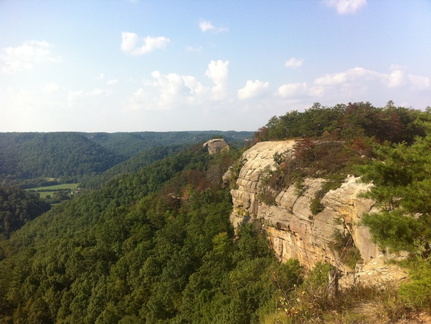 Auxier Ridge, a year after the fire